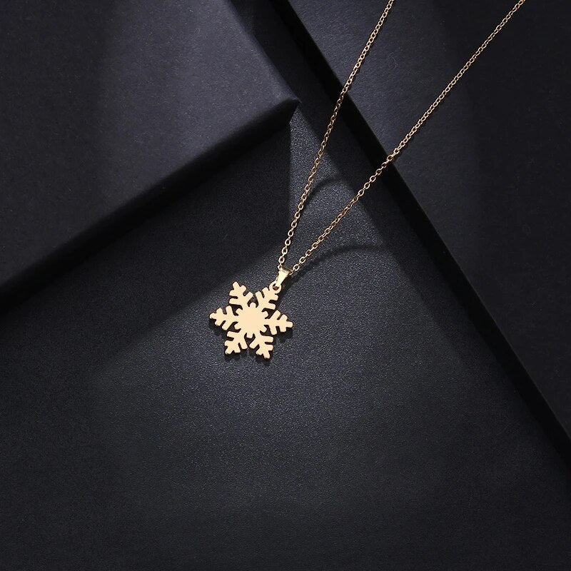 Ensemble Snow